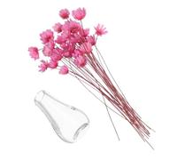 ERINGOGO 2pcs Miniature Glass Vases with Dried Floral Arrangements Dollhouse Flower Decor Transparent Material Compact Pink Vase for Dollhouse and Small-scale Displays DIY Creative Mini
