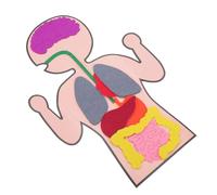 ERINGOGO 3 Sets DIY Human Organs Model Educational Cognitive Teaching Aids for Visual Anatomy Puzzle for Learning Body Parts and Human Biology Family Interactive Learning Kit
