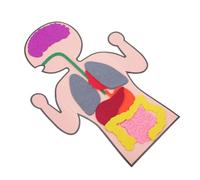 ERINGOGO 3 Sets DIY Human Organs Models Creative Teaching Aid for Easy Assemble Cognitive Body Organs Plaything Educational Human Anatomy for Learning Biology