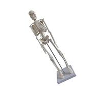 ERINGOGO 45cm Human Skeleton Model Anatomically Accurate Medical Skeleton for Yoga Fitness and Artistic Use Educational Scientific Model Human Skeletal System