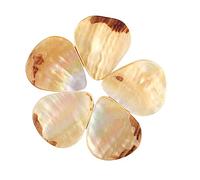 ERINGOGO 5pcs Smooth Guitar Picks Shell Material Acoustic Plectrum for Comfortable Playing Experience Heart Shape Design Bright and Gloss Finish