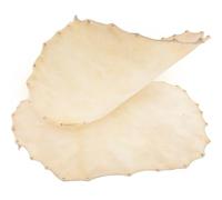 ERINGOGO Drum Cover Replacement 2Pcs Sheepskin Hand Drum Heads for Tabla Instrument Percussion Parts 30Cm Diameter