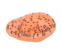 ERINGOGO Ear Acupuncture Model with Clear Chinese Markings Accurate Reflexology Points Guide for Treatment and Massage Learning Laboratory Supply