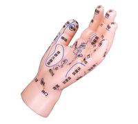ERINGOGO Educational Hand Reflexology Model PVC Hand Display Accurate Markings for Traditional Chinese Medicine Teaching and Acupuncture Practice in Medical Institutions and Massage Parlors