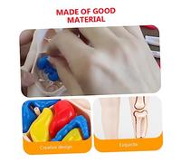 ERINGOGO Educational Human Torso Model Anatomy for Early Learning Teaching Aid Human Body Organs Puzzle for Preschool Science and Cognitive Development