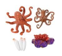 ERINGOGO Educational Octopus Life Cycle Model Realistic Sea Animal Figurine for Learning Growth Stages Creative Nature Cognition Display Ornament Safe and Detailed Figure for Preschool Bath
