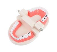 ERINGOGO Educational Teeth Brushing Model for Early Learning Tooth Decay Demonstration Plaything Safe Teaching Tool for Oral Care and Motor Skill Development