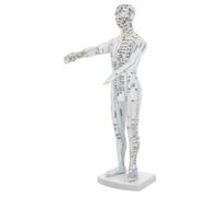 ERINGOGO Human Acupuncture Model Male Pressure Point and Meridians Teaching Tool Precise Acupoint Mannequin for Chinese Medicine Education Lifelike Body Model for Acupuncturists Training