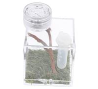 ERINGOGO Jumping Spider Habitat Box Mini Lamp and Humidifier Medium Size Insect Cage for Florida Jumping Spiders
