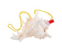 ERINGOGO Large Natural Conch Shell Horn Whistle for Decorative Home Use 11-14cm Unique Seashell Blowing Instrument for Parties and Boys and Girls
