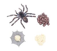 ERINGOGO Realistic Animal Science Education Toys Set Beasts Life Cycle Evolution Gifts