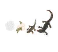 ERINGOGO Realistic Growth Cycle Figure Educational for Life Cycle Model with Detailed Texture Preschool Learning Prop for Storytelling and Role-playing