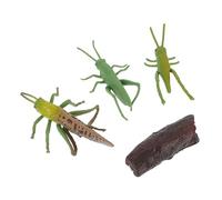 ERINGOGO Realistic Locust Growth Cycle Model Educational Display for Learning and Room Decoration Miniature Insect Figurines for Teaching Life Stages and Imaginative Play