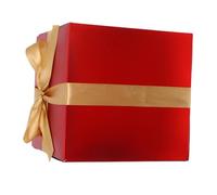 ERINGOGO Red Decorative Cardboard Boxes Bow Christmas Present Packaging for Holiday Parties Birthdays and Special Occasions