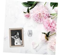 ERINGOGO Silver Pet Cinerary Casket Cremation Urn for Ashes Rust Sealed Pet Memorial Box with Uniform Thickness Simple Design for Long Term Preservation and Home Decoration