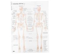 ERINGOGO Skeletal Structure Anatomy Poster Tear Resistant Human Body Teaching Chart Typeset Educational Decor for Party and Classroom Wall Art