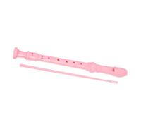 ERINGOGO Soprano Recorder Plastic Flute Music Instrument for Boys and Girls Beginners Practice Soprano Recorder Cleaning Stick and English Manual for Boys and Girls and Adults Music