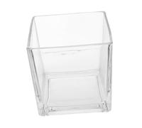 ERINGOGO Thickened Clear Glass Cube Vase Hydroponic Planter for Office Home Decor Modern Transparent Square Flower Vase for Tabletop Shelf Window Sill Display