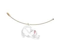 ERINGOGO Transparent Cat Capsule Hair Memorial Keychain Lightweight Portable Pet Hair Storage Box for Keepsake Clear Organizer for Collecting and Displaying Gift for Pet Owners