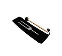 ERINGOGO Tuning Fork Cps Aluminum Alloy Tuning Fork Instrument for Nerve Sensory Audio Testing Silicone Hammer and Carry Bag for Sound Therapy