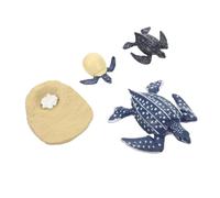 ERINGOGO Turtle Growth Cycle Model Early Learning Cognitive with Lifelike Evolution Stages Figurines for Childrens Nature Exploration and Educational Play