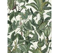 Erismann Paradisio Tropical Leaves Jungle Plants Wallpaper White 6303-07
