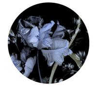 Erismann Fashion For Walls Digital Wallpaper Wall Mural