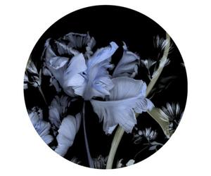 Erismann Fashion For Walls Digital Wallpaper Wall Mural