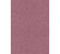 Erismann Gentle 10430-06