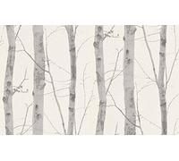 Erismann 6305-10 "Paradiso Collection" Non-Woven Wallpaper, Multi-Colour, 10.05 x 0.53 m