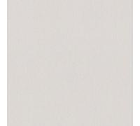 Erismann Timeless Texture Beige Wallpaper 10072-14 - Paste the Wall Plain