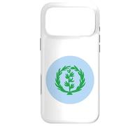Eritrea Flag Habesha Anti Isaias Case for iPhone 17 Pro Max