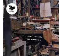 Erlend Apneseth, Stein Urheim, Anja Lauvda, Hans Hulbækmo - Fragmentarium (LP) [VINYL]