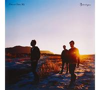 Erlend Viken Trio - Nykomlingen [Vinyl LP] [VINYL]