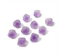Erliway 0.4-0.8" Bulk Natural Amethyst Raw Stones & Healing Crystals for Wire Wrapping, 10pcs Small Amethyst Crystals Chunks Rough Stones for Tumbling, Meditation, Wicca Reiki, Jewelry Making