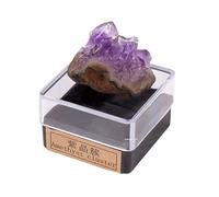 Erliway 0.8-1.2" Crystals Minerals Specimens, Natural Amethyst Cluster Raw Stone Collections with Display Box, Rock and Mineral Specimens for Office Home Decor
