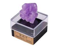 Erliway 0.8-1.2" Crystals Minerals Specimens, Natural Amethyst Tooth Raw Stone Collections with Display Box, Rock and Mineral Specimens for Office Home Decor