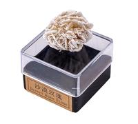 Erliway 0.8-1.2" Crystals Minerals Specimens, Natural Desert Rose Raw Stone Collections with Display Box, Rock and Mineral Specimens for Office Home Decor Education