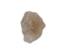 Erliway Natural Gold Rutilated Quartz Raw Stone for Reiki, 0.8-1.2" Large