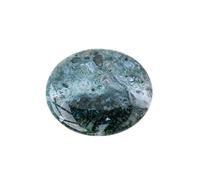Erliway Natural Moss Agate Palm Stone, 2.36" Large Polished Pocket Worry Stone for Anxiety Relief, Natural Moss Agate Crystal Gemstone Flat Round Disc for Stress Management, Yoga & Meditation