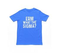 Erm What The Sigma Adults T-Shirt - Funny Men's Ladies Unisex TShirt, Novelty Top, Cotton Tee Blue/S