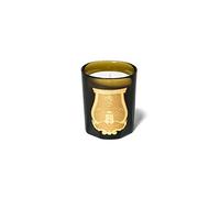 Ernesto Leather and Tobacco