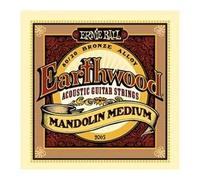 Ernie Ball 2065 Earthwood mandolin strings medium (2 PACKS)