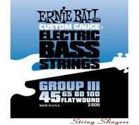Ernie Ball Flatwound Group III Electric Bass Strings - 45-100 Gauge