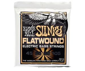 Ernie Ball 2813
