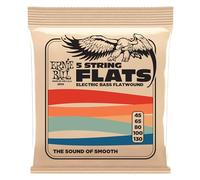 Ernie Ball Flatwound 5-string Electric Bass Strings - 45-130 Gauge