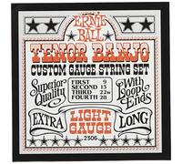Ernie Ball P02306 Light Loop End Stainless Steel Tenor Banjo Guitar Strings - 9-28 Gauge