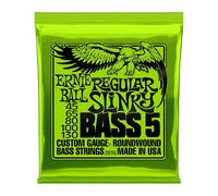 Ernie Ball Slinky 5 String Bass Guitar Strings (.045 - .130 Regular Slinky)