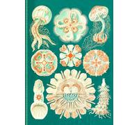 Ernst Haeckel A4 Jellyfish Notebook | Vintage Print, Sea Life Notebook | Softcover, Lined, Ivory Paper, 100 Pages