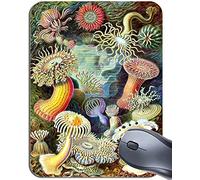 Ernst Haeckel Actiniae Sea Life Mouse Mat. Marine Organisms Art